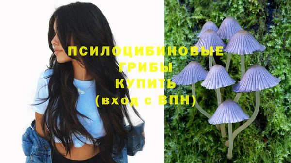 гашик Богородицк