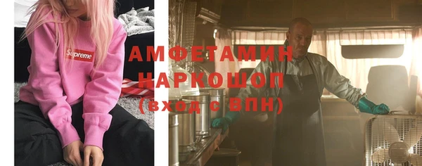 гидра Богданович