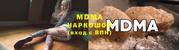 гидра Богданович