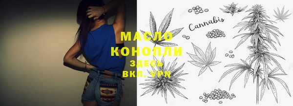 гашик Богородицк