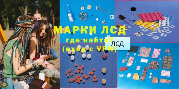 гидра Богданович