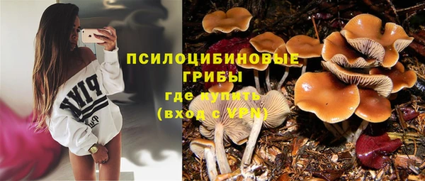 2c-b Белоозёрский