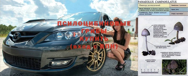 гашик Богородицк