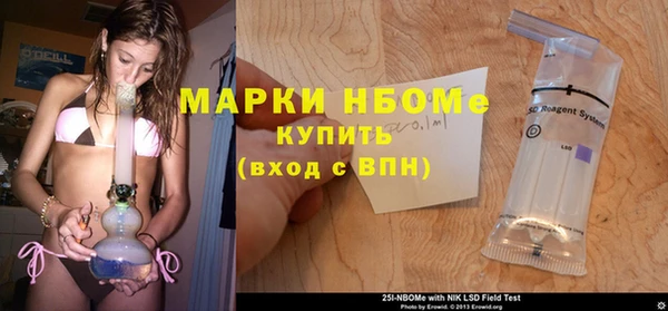 гашик Богородицк