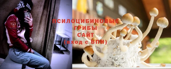 гидра Богданович