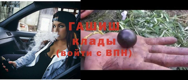 гидра Богданович